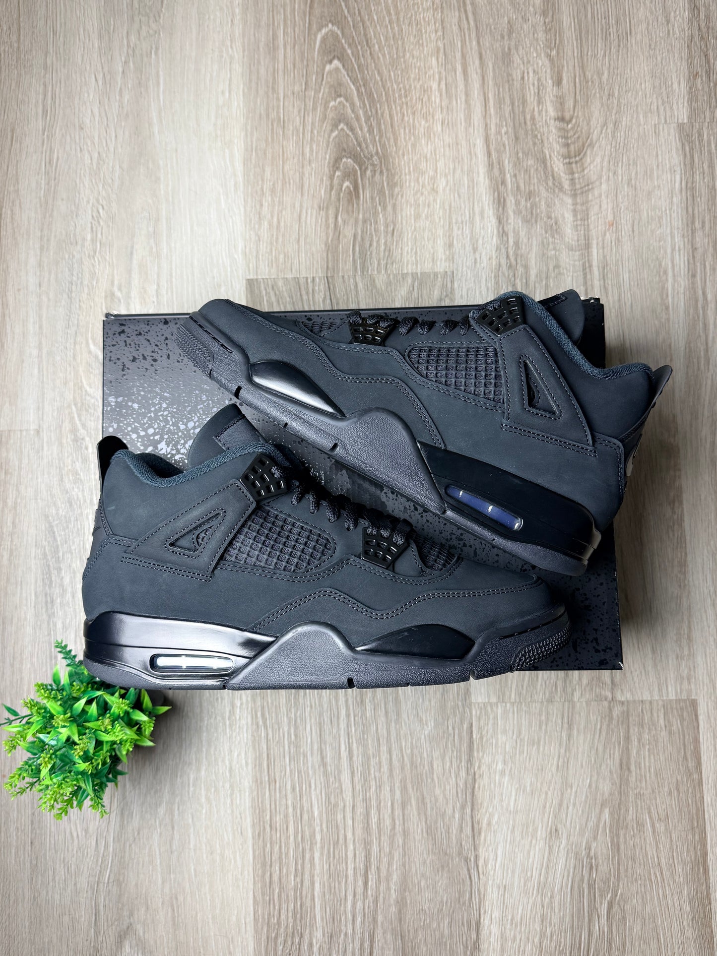 Air Jordan 4 Black Cat (2025)