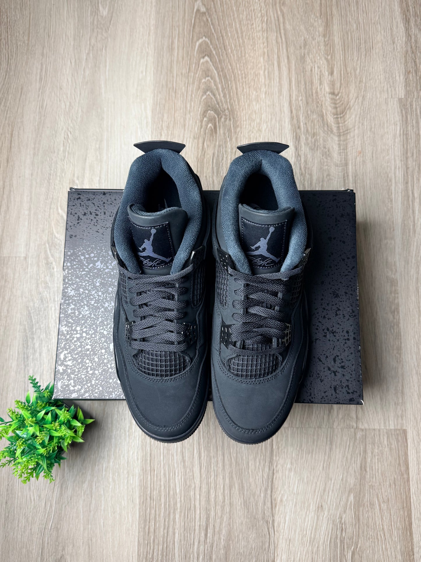 Air Jordan 4 Black Cat (2025)