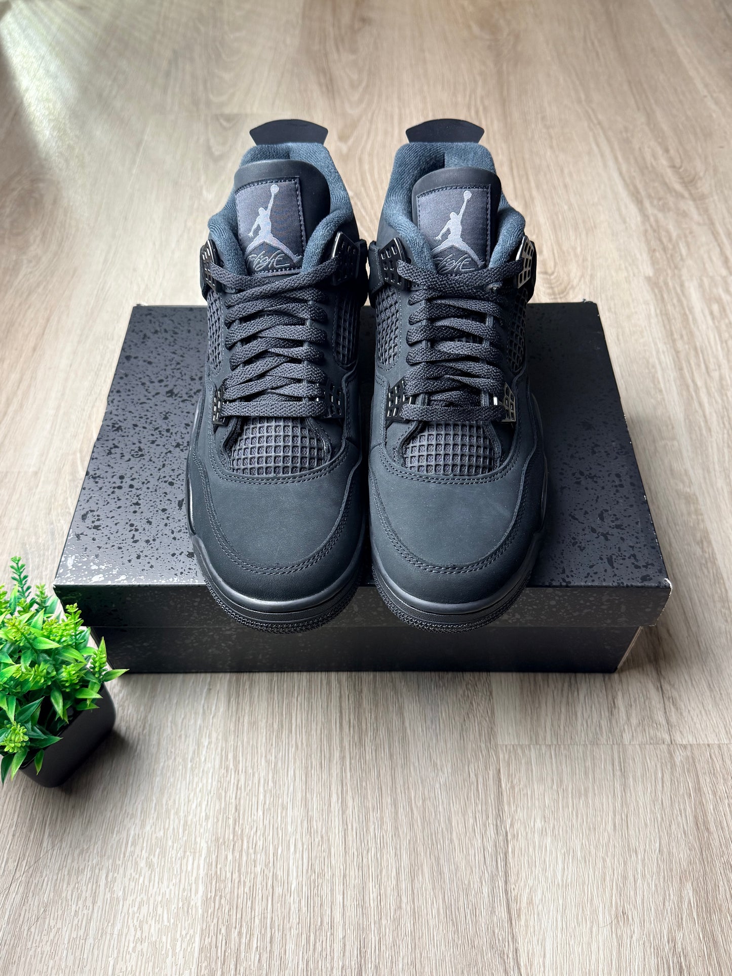 Air Jordan 4 Black Cat (2025)