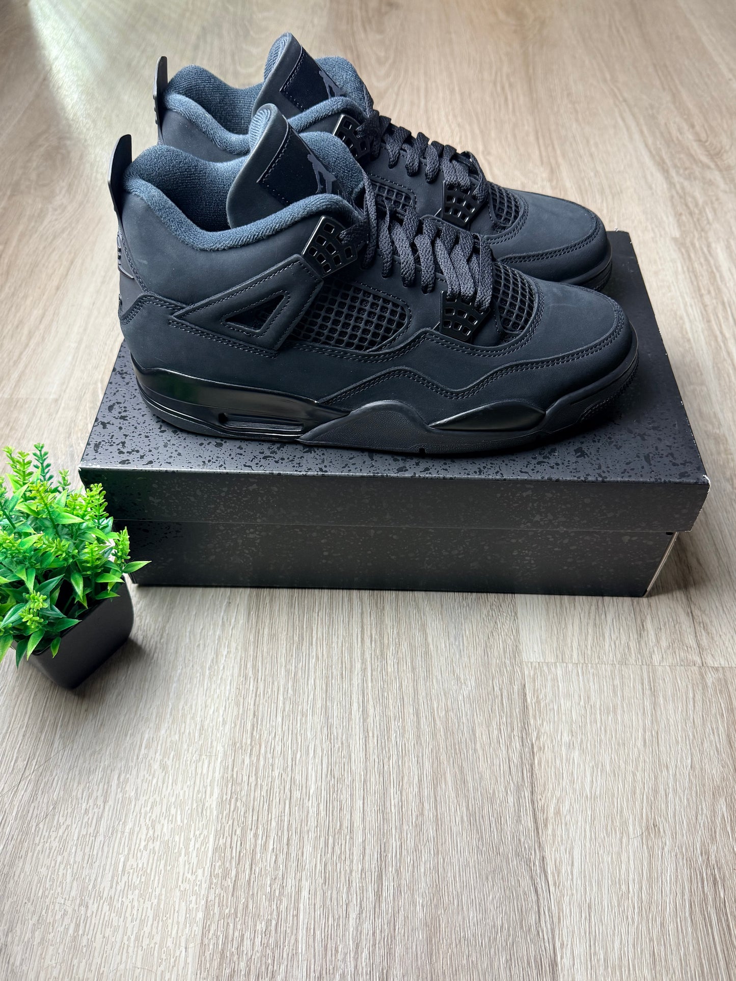 Air Jordan 4 Black Cat (2025)