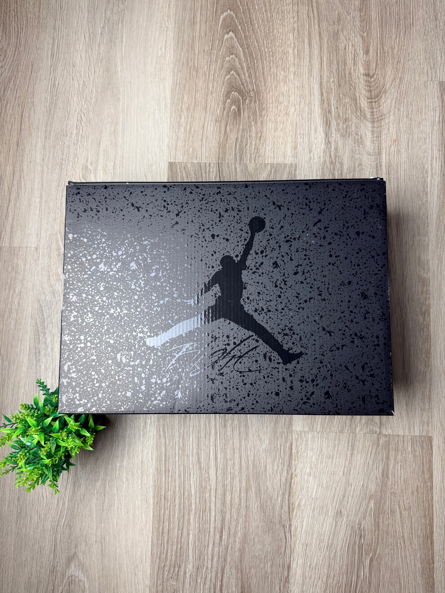 Air Jordan 4 Black Cat (2025)